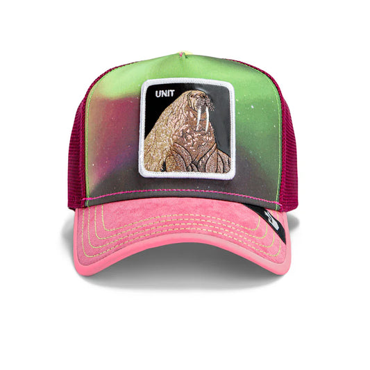 Goorin Bros Hyt the Lynx {Unit} (Mauve)