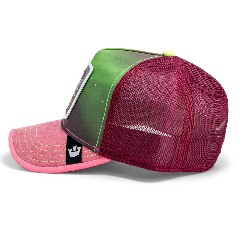 Goorin Bros Hyt the Lynx {Unit} (Mauve)