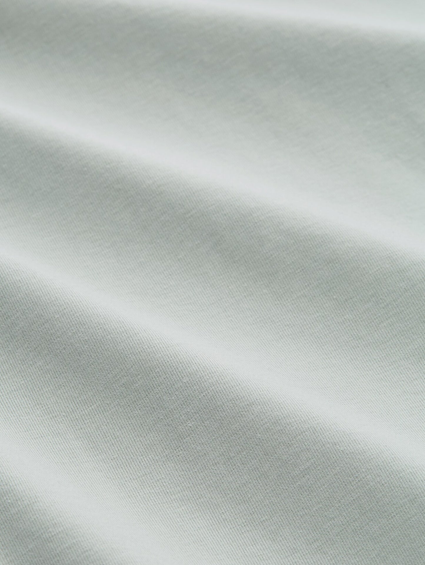 Fitted Basic T-Shirt (Sage)