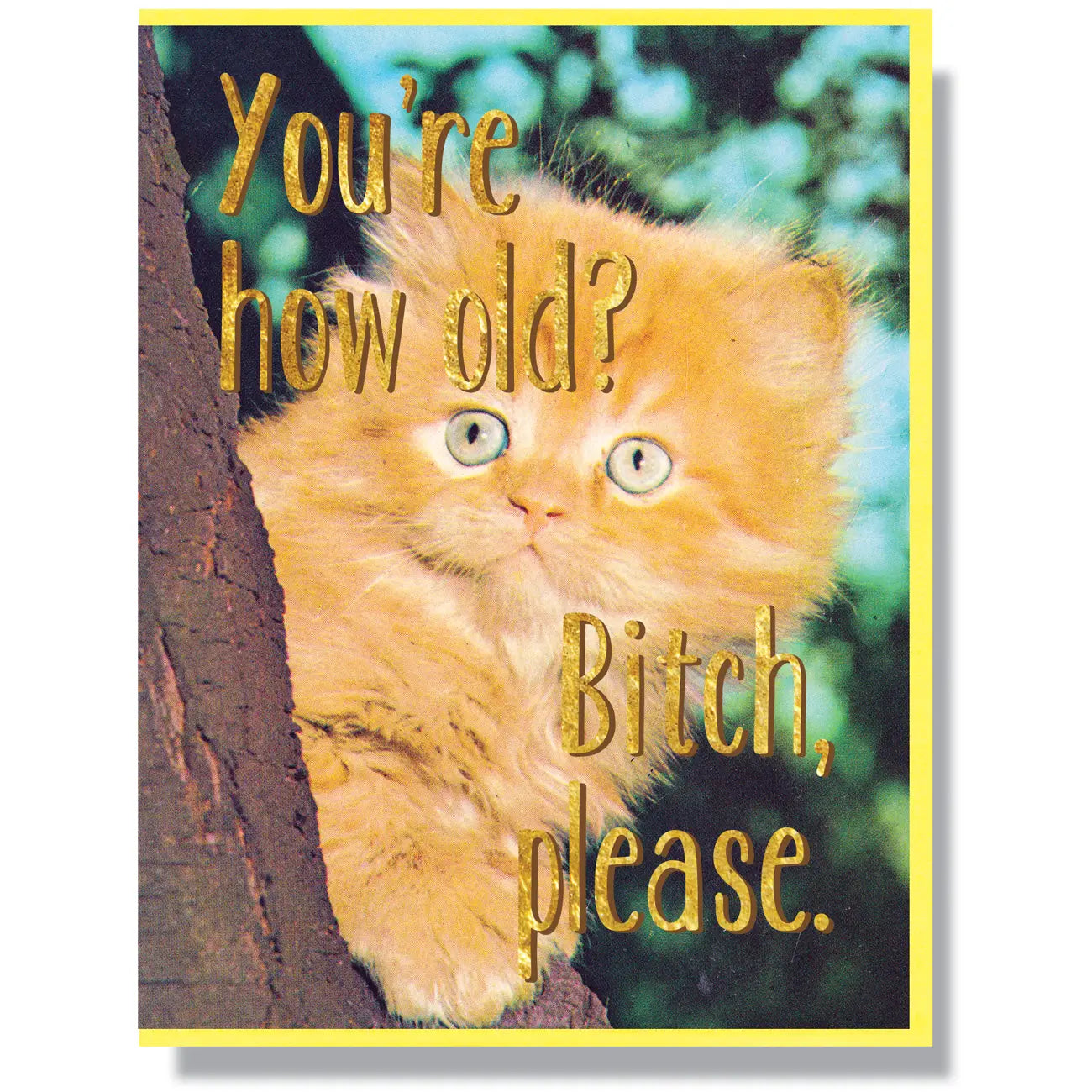 You're How Old? Bitch, Please Birthday Card