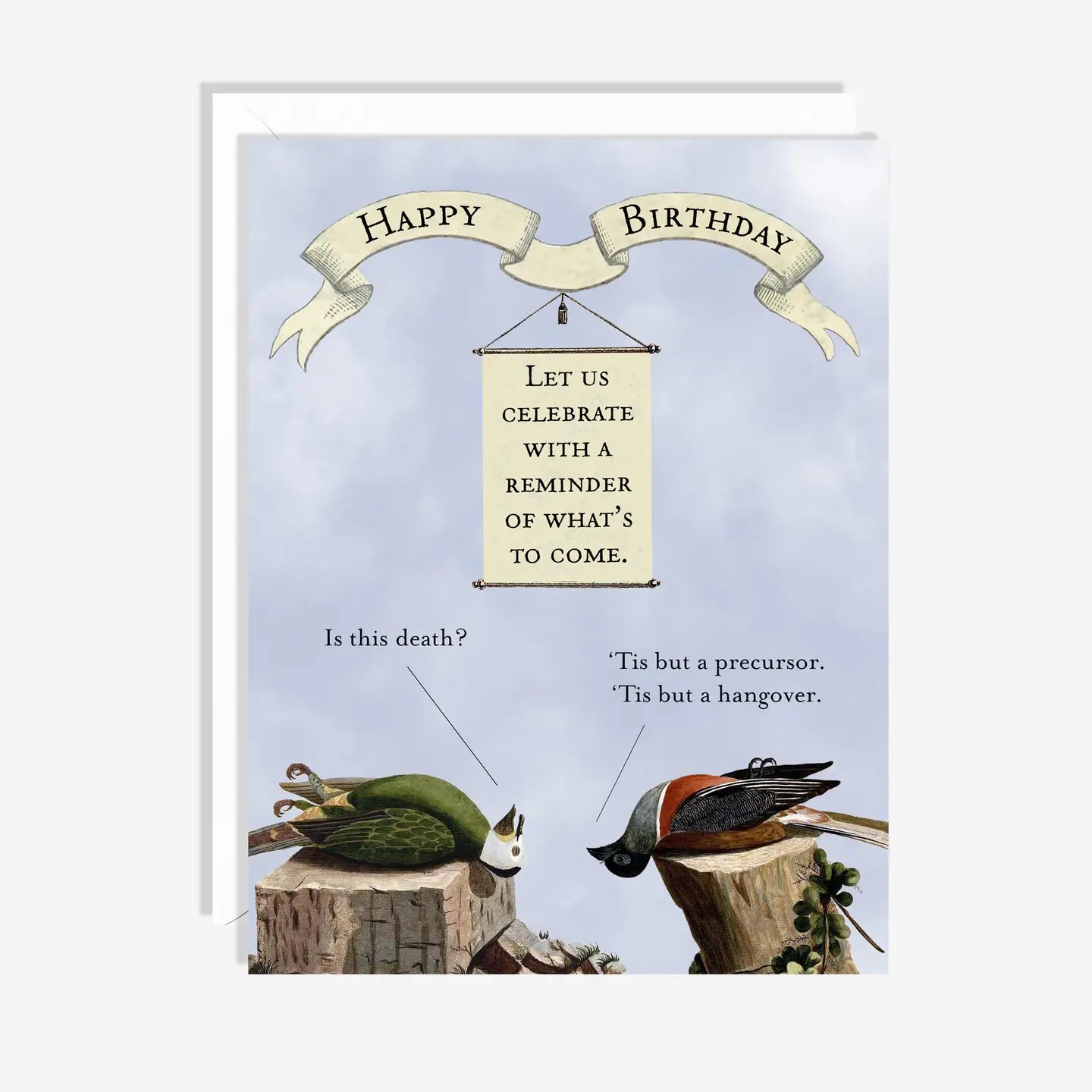 Hungover Birds Birthday Card