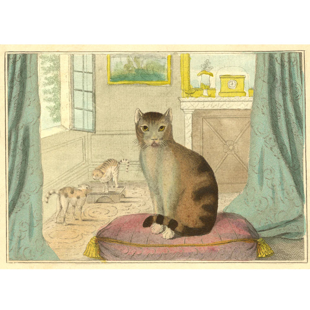 John Derian Calm Cat Puzzle