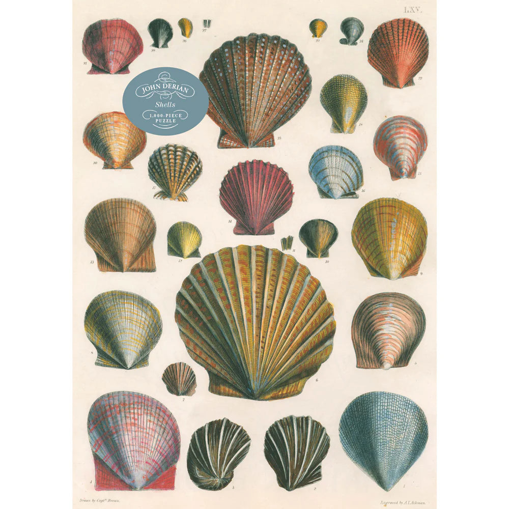 John Derian Shells Puzzle