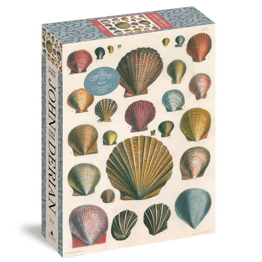 John Derian Shells Puzzle