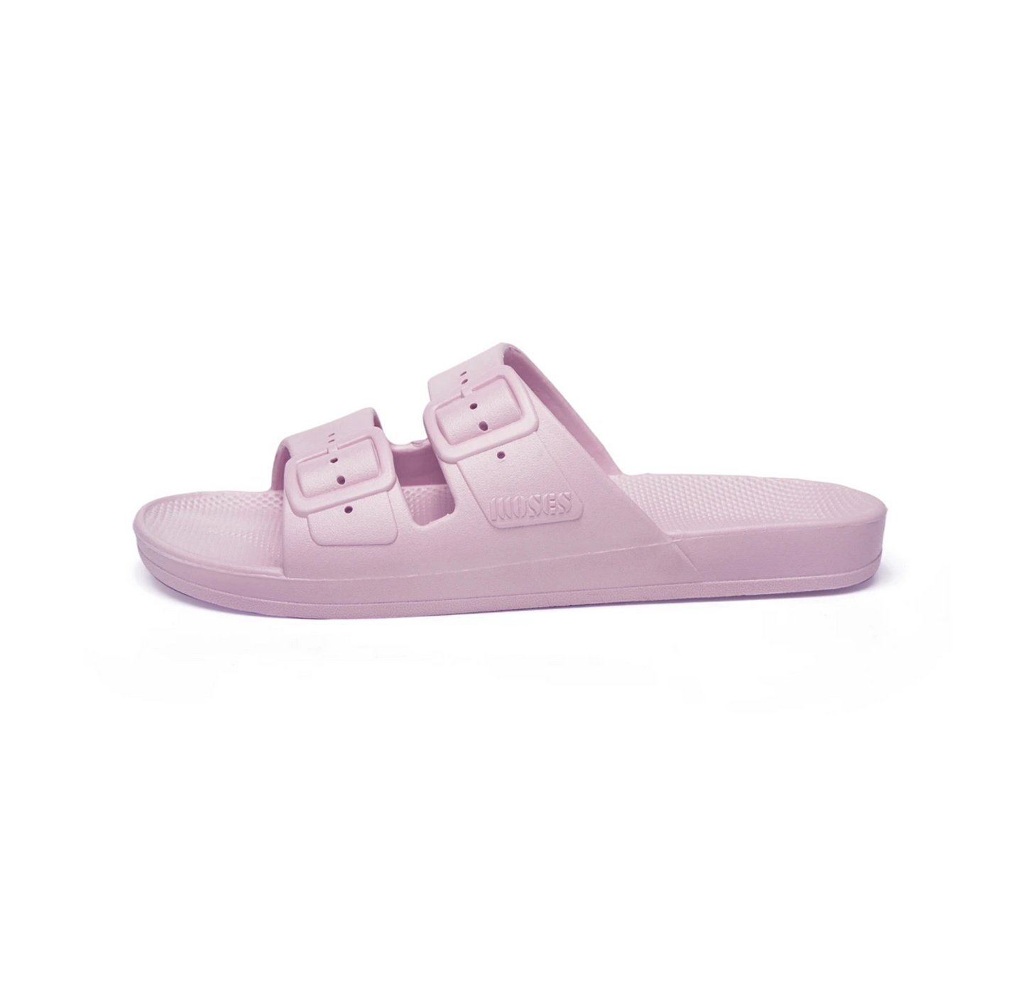 Fancy Slipper (Parma)
