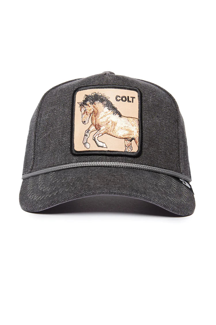 Goorin Bros Bucking Duck {Colt} (Black)