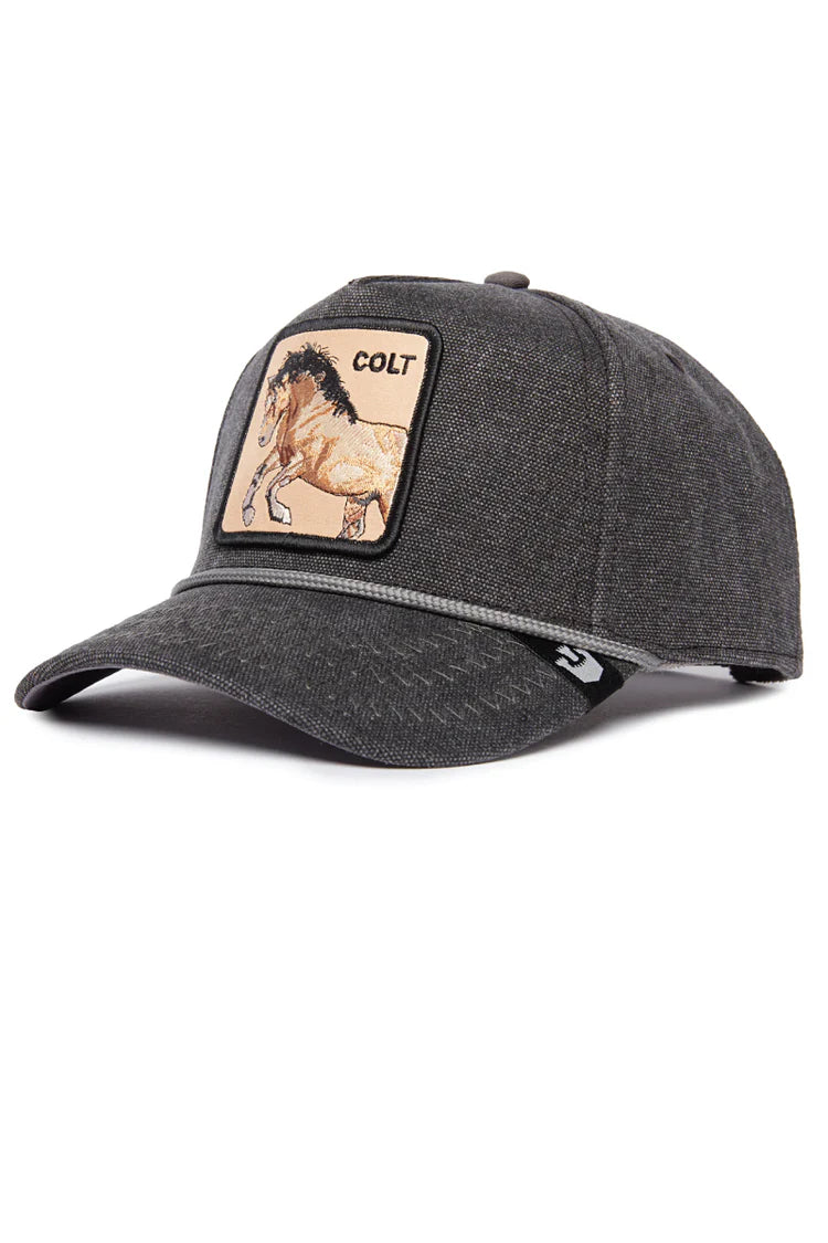 Goorin Bros Bucking Duck {Colt} (Black)