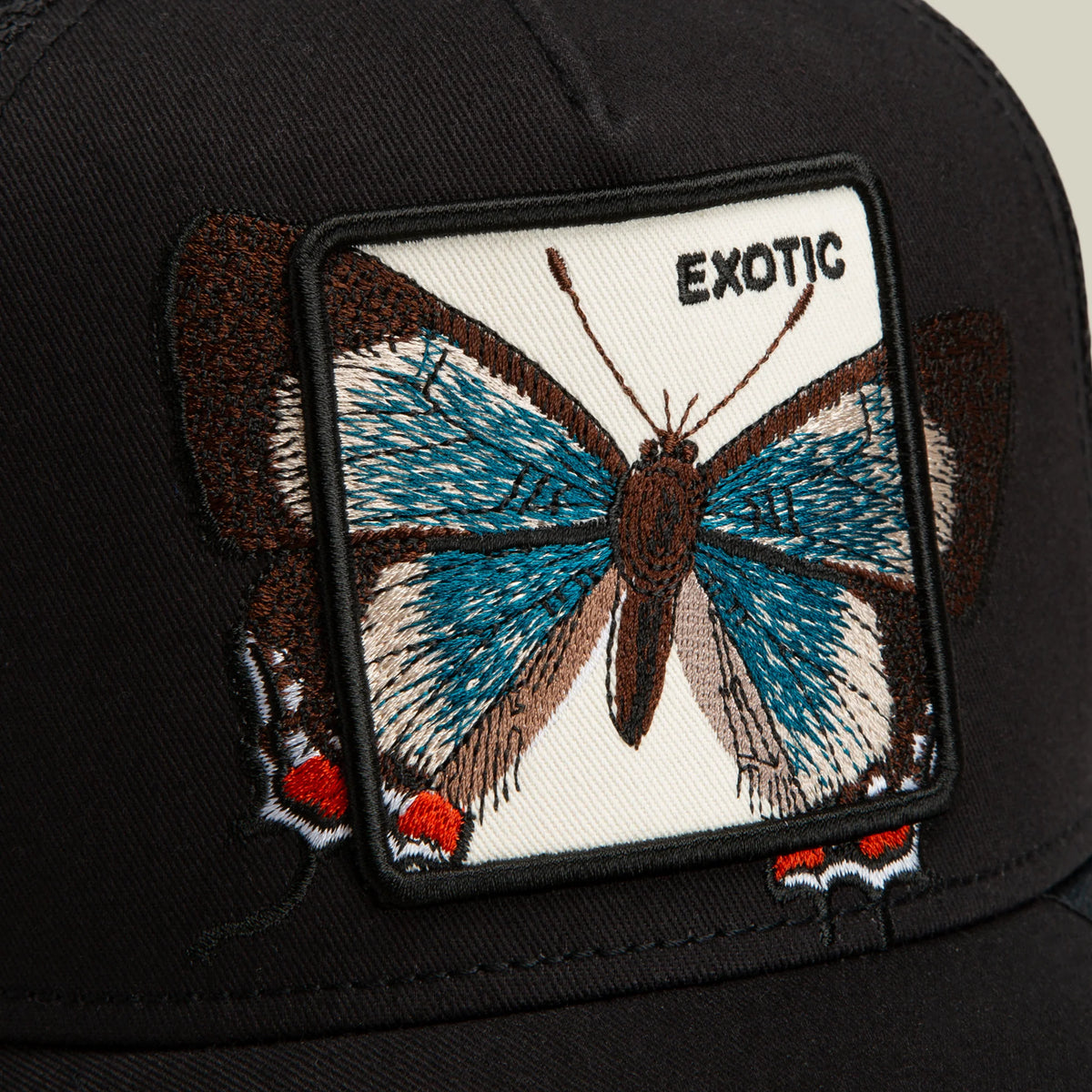 Over the Line Butterfly