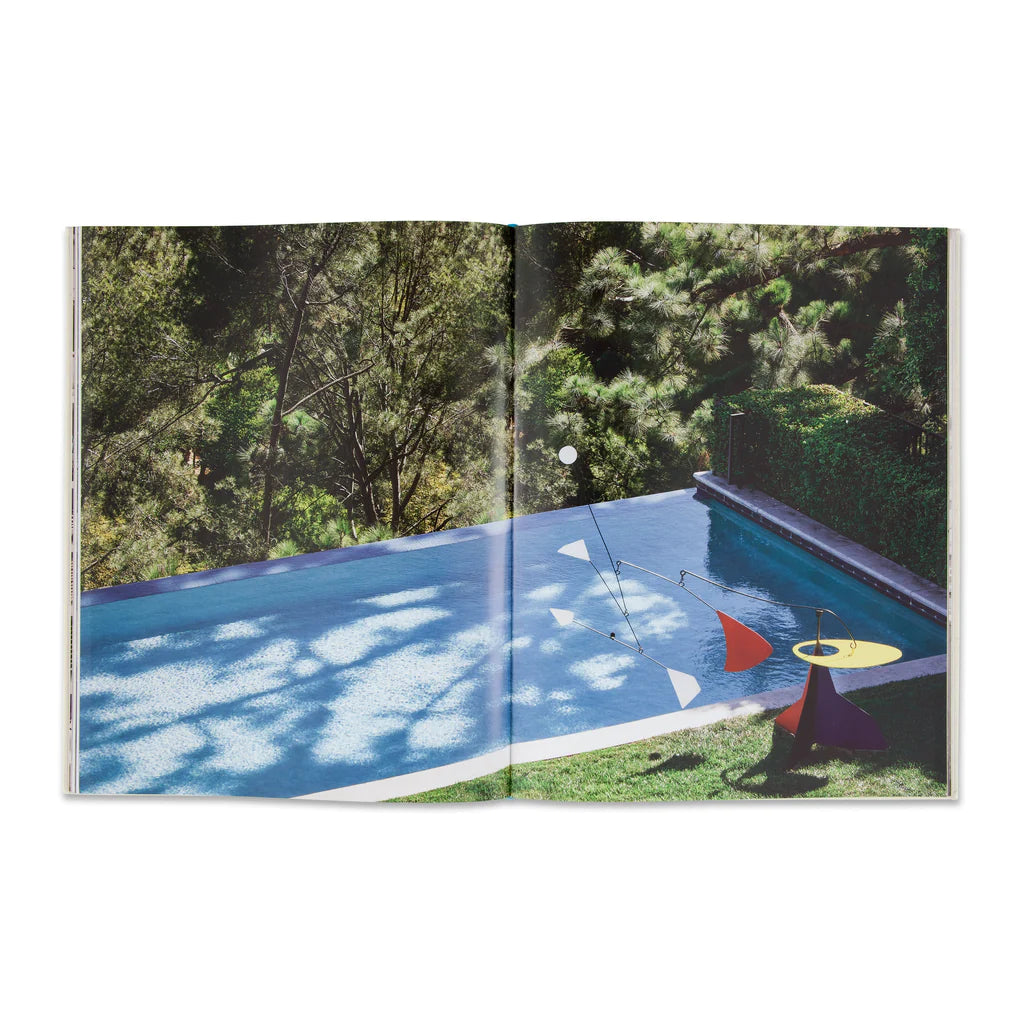 Objects of Desire Book