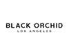Black Orchid