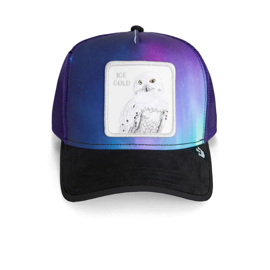 Goorin Bros Arctic Chill {Ice Cold} (Purple)