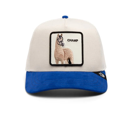 Goorin Bros Suede Suede Horse {Champ} (Blue)