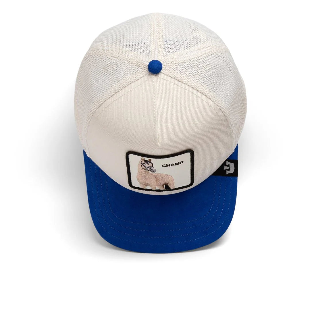 Goorin Bros Suede Suede Horse {Champ} (Blue)