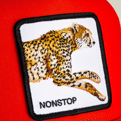 Goorin Bros Nonstop Cheetah {Nonstop} (Blaze)