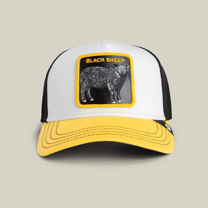 Goorin Bros Tricolor Sheep {Black Sheep} (Multicolor)