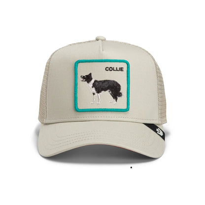 Shadow Border Collie (Scout)