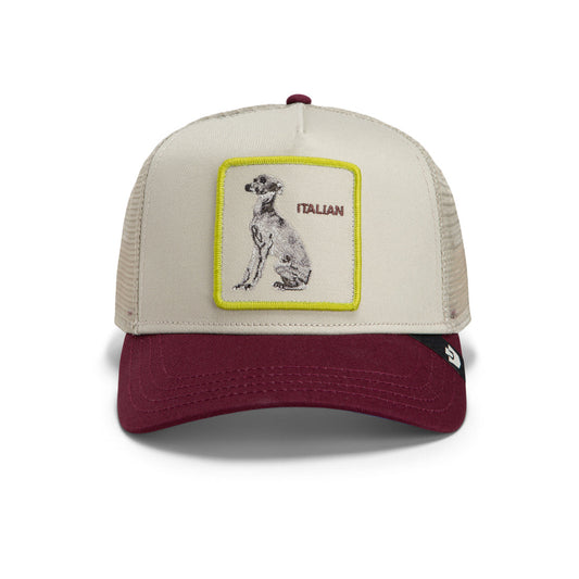 Goorin Bros Shadow Italian Greyhound (Scout) - front view