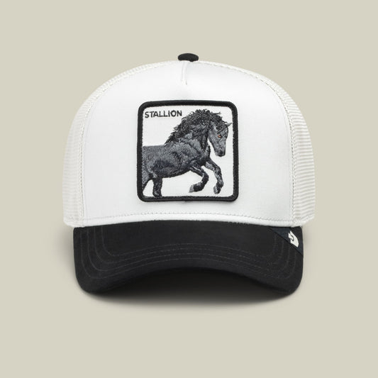 Goorin Bros Digital Stallion (Digital/Void) - front view