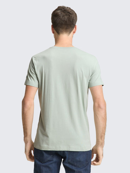 Fitted Basic T-Shirt (Sage)