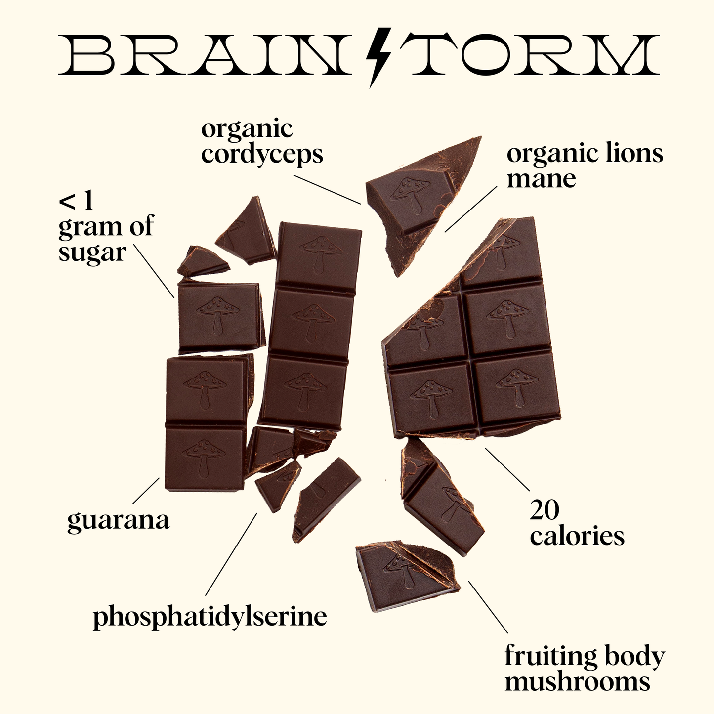 Brainstorm Singles — mushroom chocolates for focus