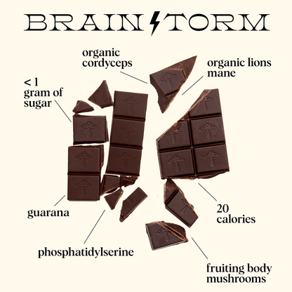 Brainstorm Singles — mushroom chocolates for focus