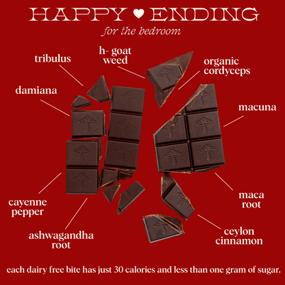 Happy Ending Singles - mushroom chocolate for wellness