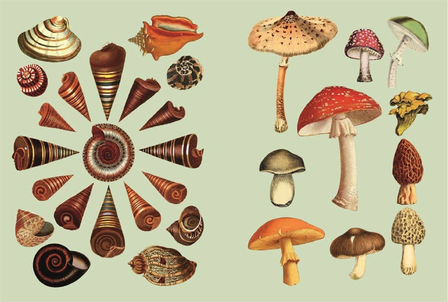 The Antiquarian Sticker Book