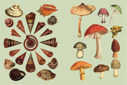 The Antiquarian Sticker Book