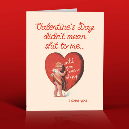 Valentine Doesn't Mean Shit!... Valentine Card