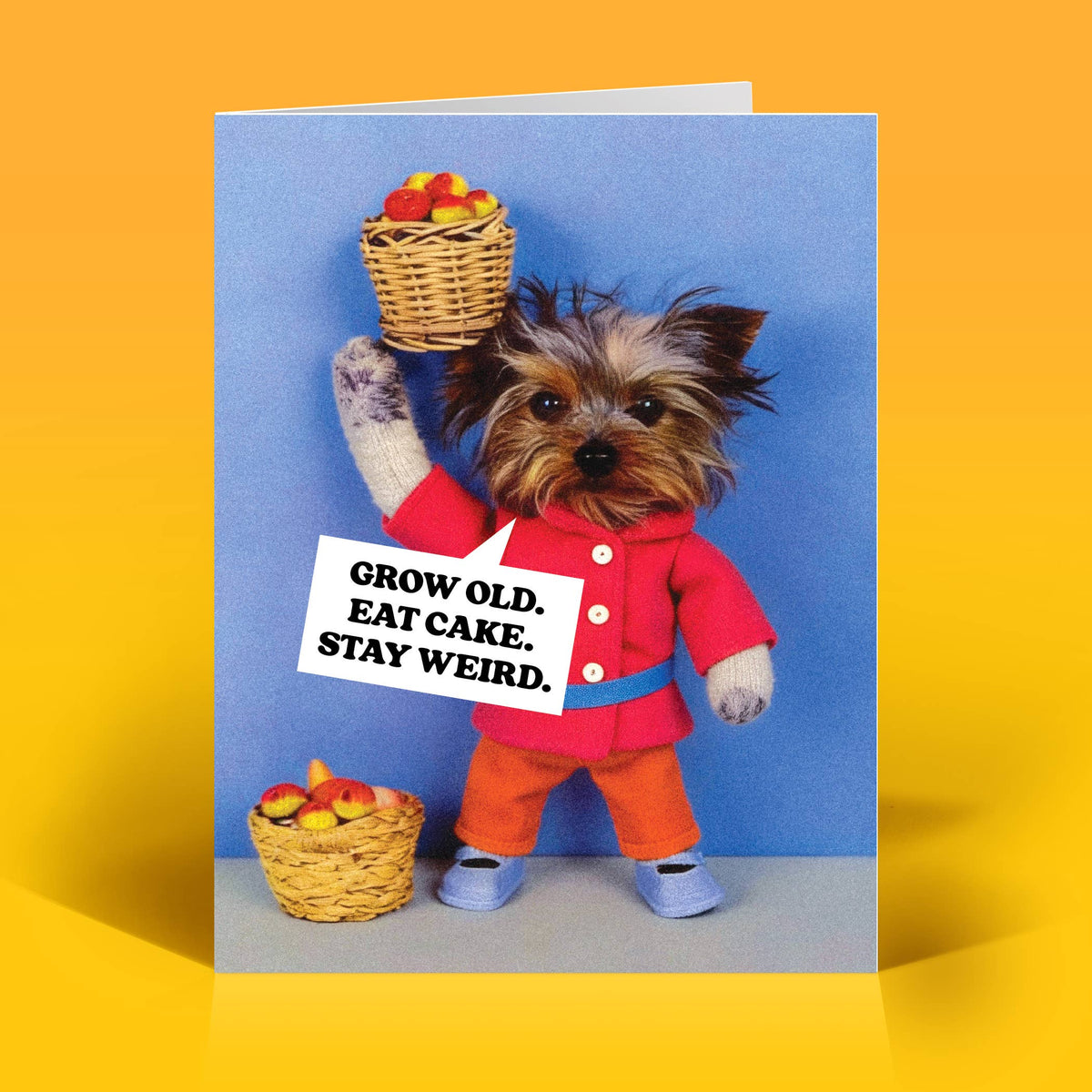 Funny Birthday Card – STAY WEIRD – Vintage Kitsch Humor
