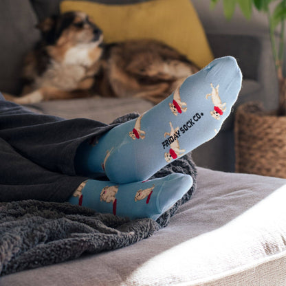 Men's Dog & Frisbee Mid-Calf Socks