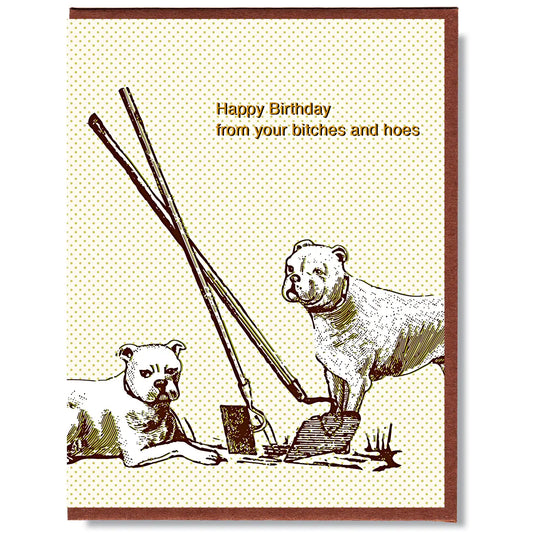 Happy Birthday from Your Bitches and Hoes Card