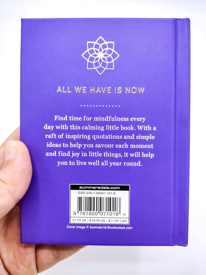 365 Days of Mindful Meditations