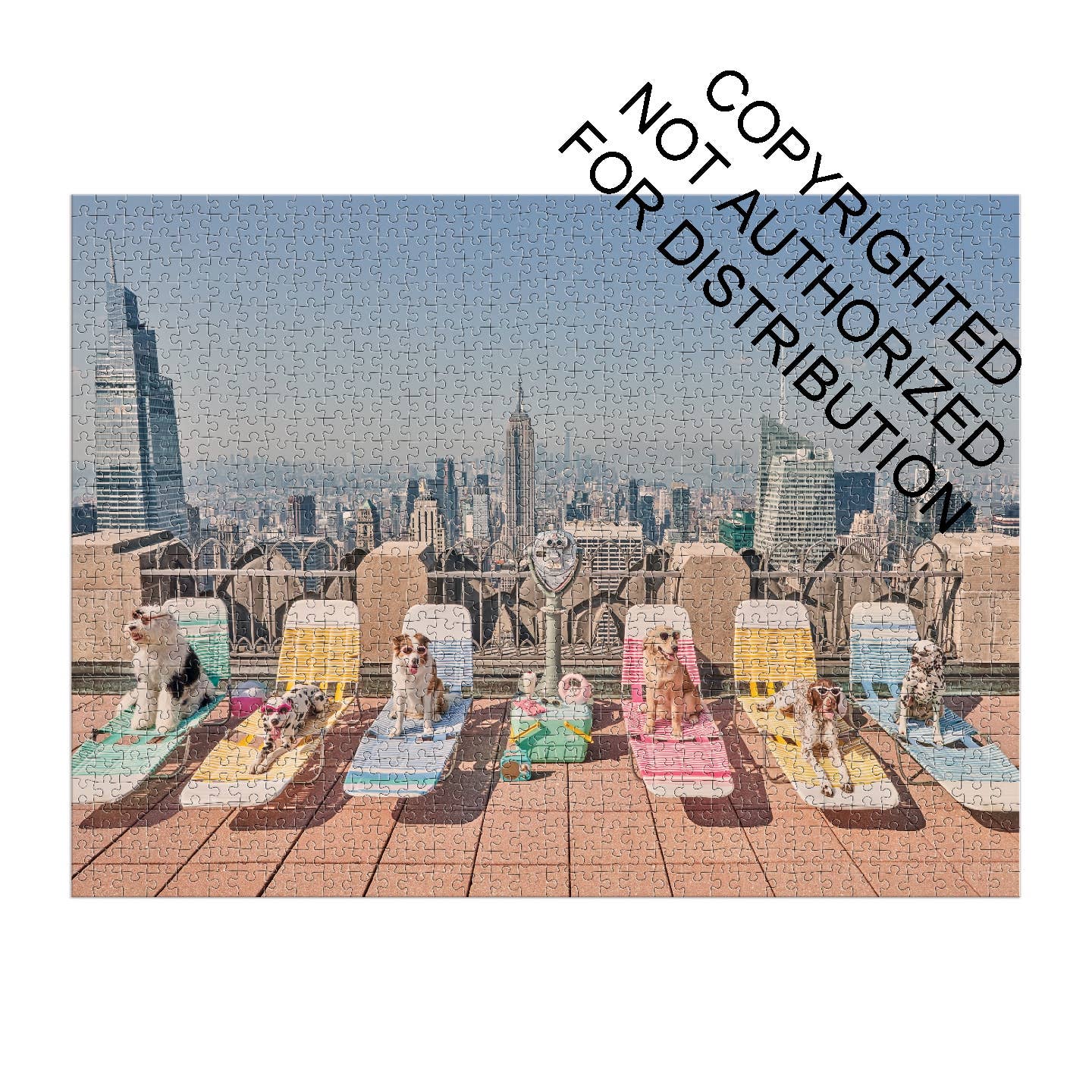 Gray Malin The Dogs of New York City 1000 Piece Puzzle