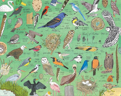 Nature Anatomy Birds (500 Piece Puzzle)