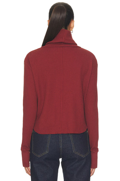 Boxy Crop Turtleneck (Spice)