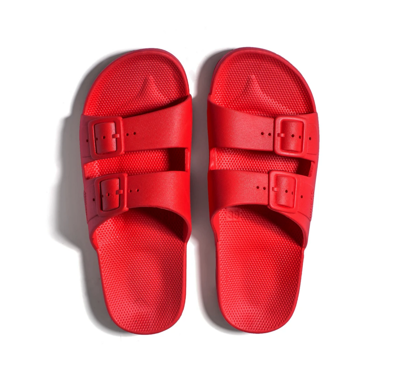 Fancy Slipper (Fuji)