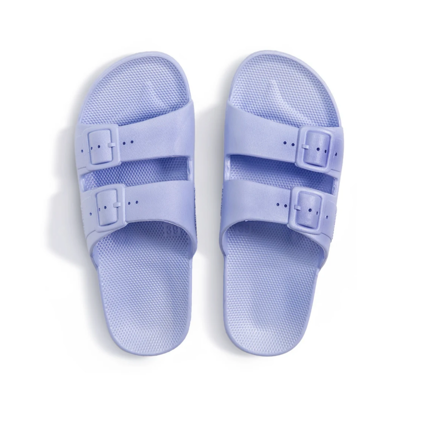 Fancy Slipper (Hydra)