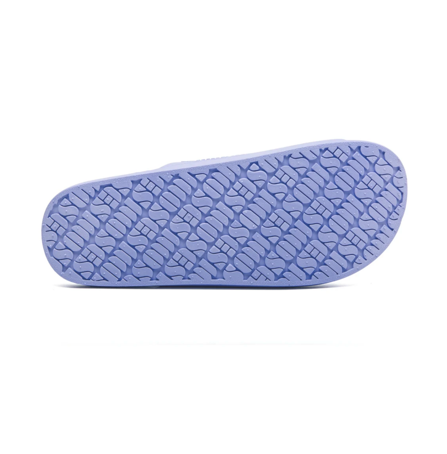 Fancy Slipper (Hydra)