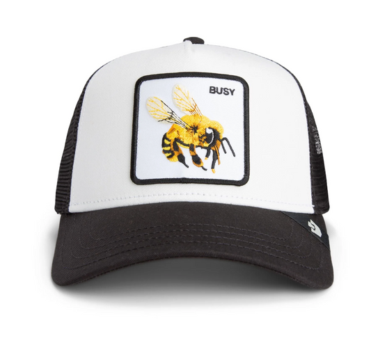 Goorin Bros Busy Bee {Busy} (Dust/Void)