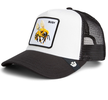 Goorin Bros Busy Bee {Busy} (Dust/Void)