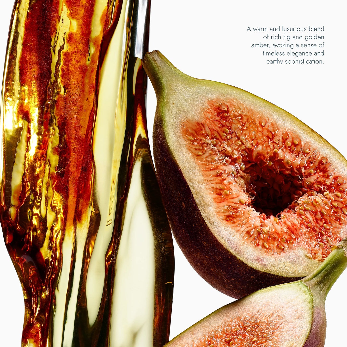 Exfoliating Body Wash 6.2 oz. (Fig & Amber)