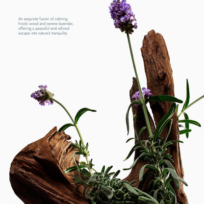 Exfoliating Body Wash 6.2 oz. (Hinoki & Lavanda)