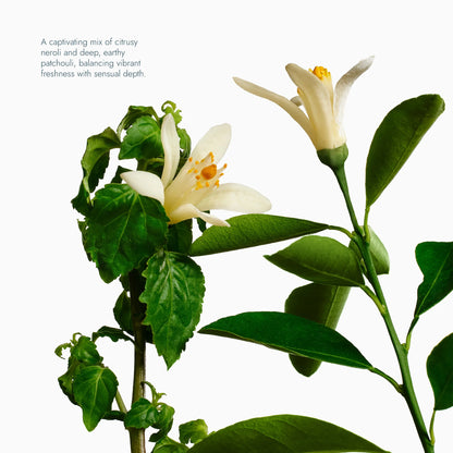 Exfoliating Body Wash 6.2 oz. (Neroli & Patchouli)