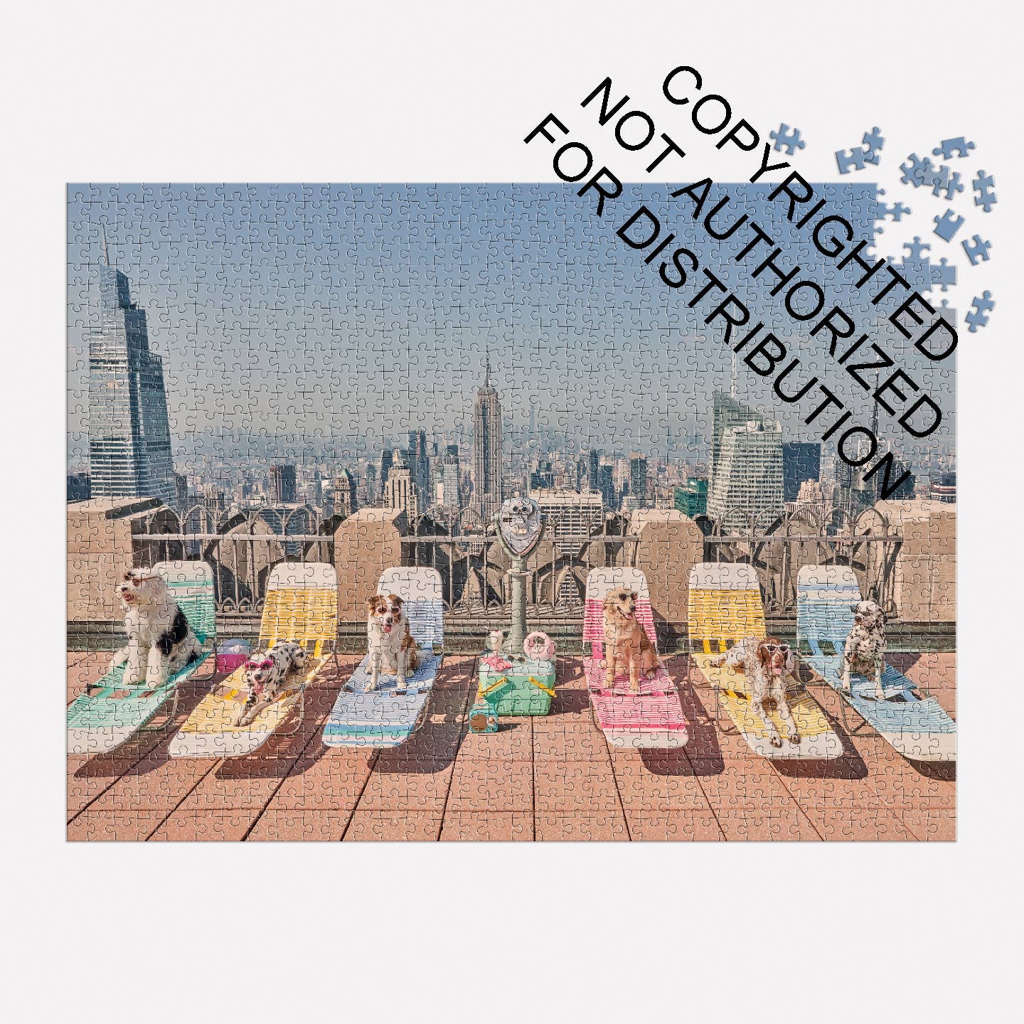 Gray Malin The Dogs of New York City 1000 Piece Puzzle