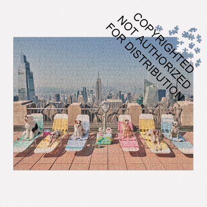 Gray Malin The Dogs of New York City 1000 Piece Puzzle