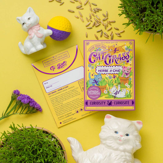 Cat Grass Seed Packet (Curiosity) with Purple Foil
