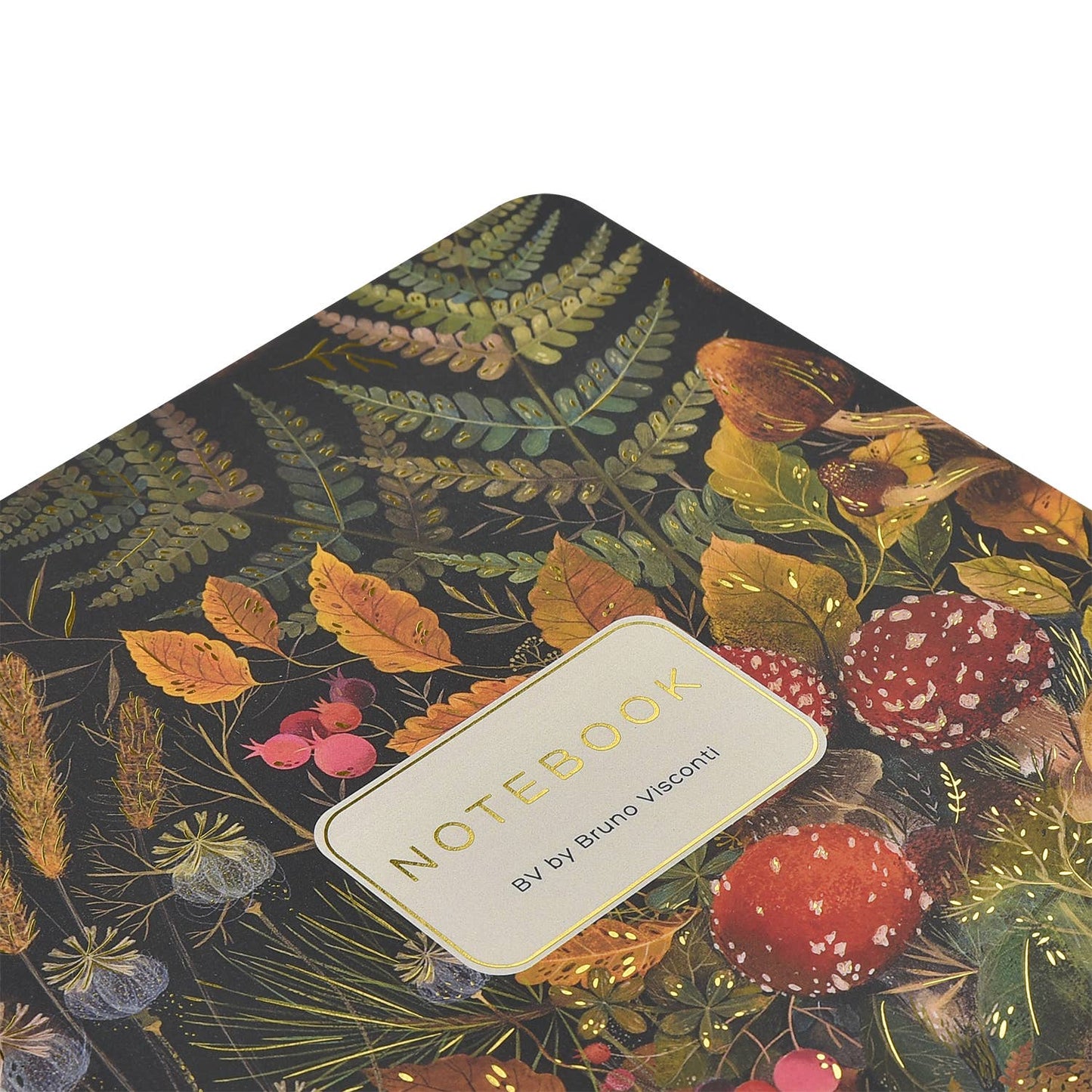 Forest Mushrooms Notebooks