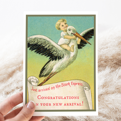 Stork Express Baby Card