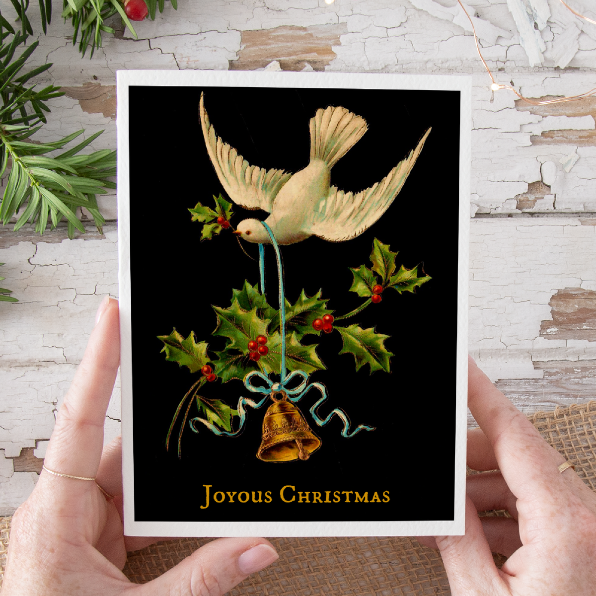 Dove & Holly Christmas Card